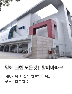 렛츠런파크 제주 승마랜드