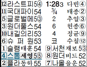 명승부 예상지 17. 서울 4 경주 출전마(스톰가이) 분석 (예시: 4 경주 서울 출마표)