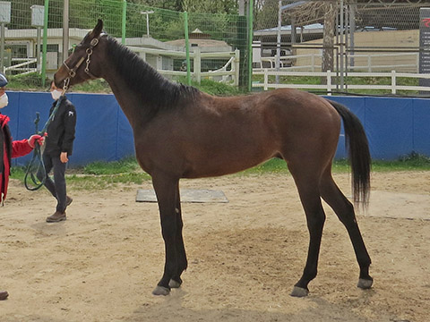 히어아이엠