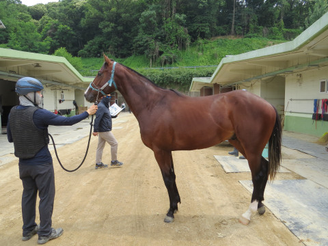 지산포스