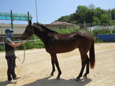 축배를들어라