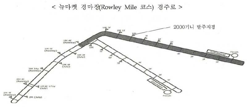 뉴마켓 경마징(Rowley Mile 코스)