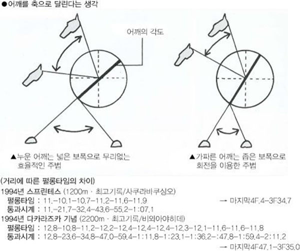 경주마 단거리 적성과 장거리 적성